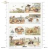 wiosna, wieś, wioska, pole, ptak, ptaszek, ptaszki, pisklak, pisklę, kurczak, kurczaczki, spring, village, field, bird, chicks, chickens, Frühling, Dorf, Feld, Vogel, Vögel, Küken, Hühner, primavera, pueblo, campo, pájaro, pollos 
